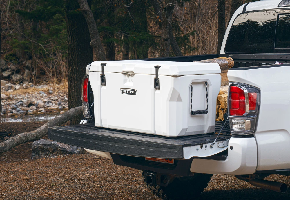 car ice chest cooler