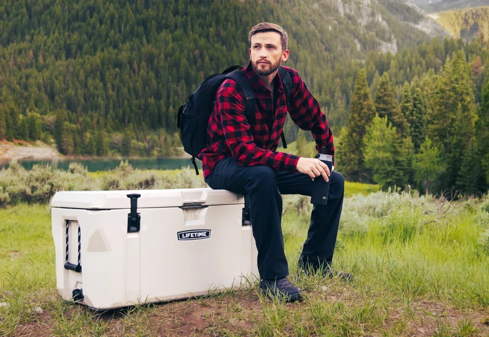 car ice chest cooler