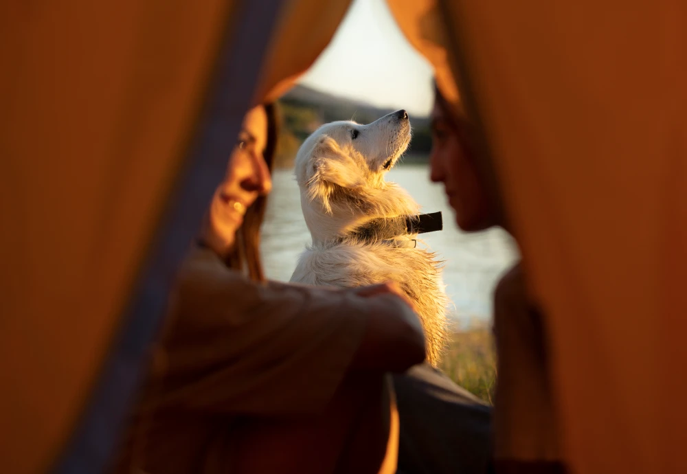 white teepee tent