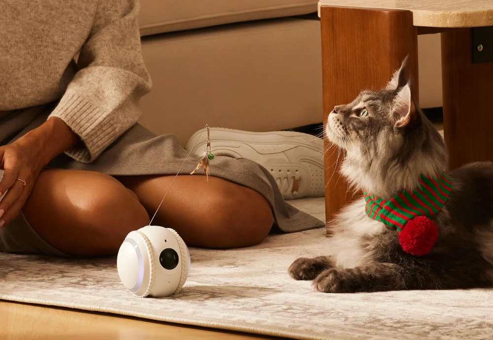 movable pet camera