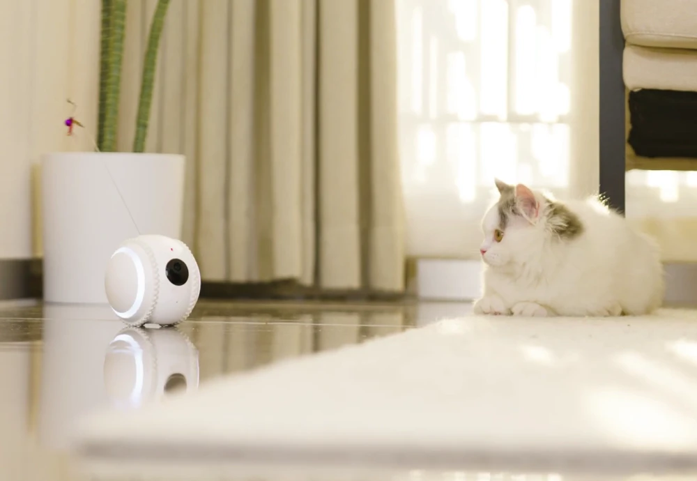 portable pet camera