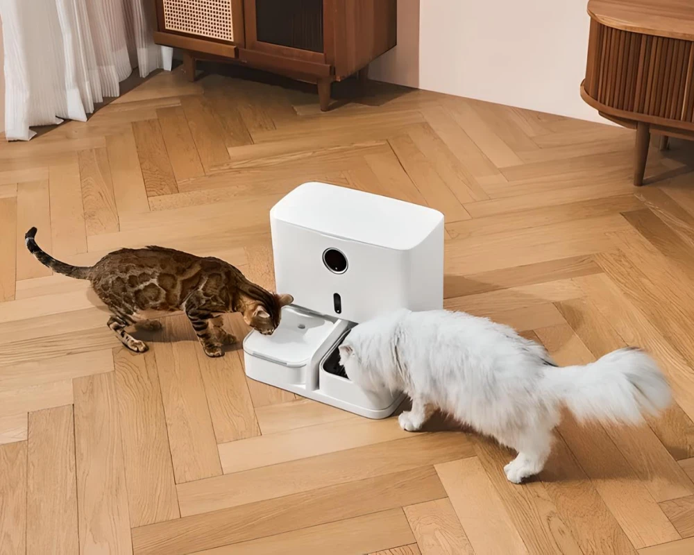 automatic pet feeder for 2 cats